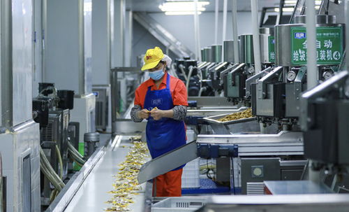 梁平 打造中國西部預制菜之都