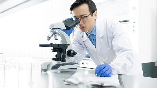 玩具檢測認(rèn)證 構(gòu)筑安全防線，驅(qū)動(dòng)行業(yè)高質(zhì)量發(fā)展